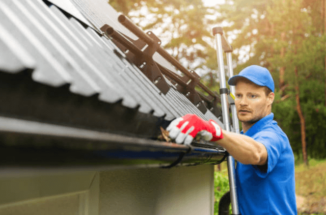 rogers gutter service